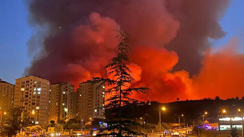 Bursa'da Yangınlar Şehri Sarsıyor: Nedenleri ve Sonuçları