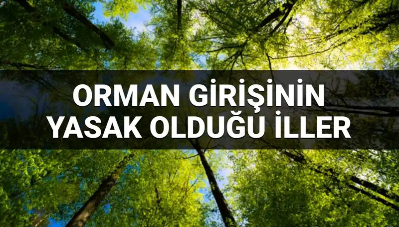 2025’te Orman Girişine Yasaklanan İller: Hangi İllerde Ormana Girmek Yasak?