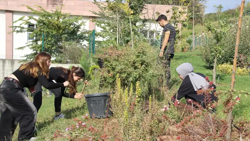 Düzce'den Dünyaya: Hayalini Gerçeğe Dönüştüren Yerel Bir Başarı Hikayesi