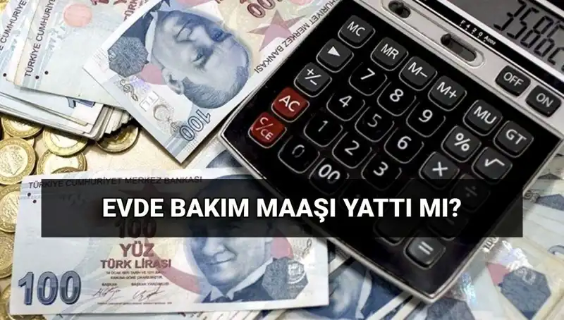Evde Bakım Maaşı Sorgulama: Haziran Ödemeleri Nereye Gitti?