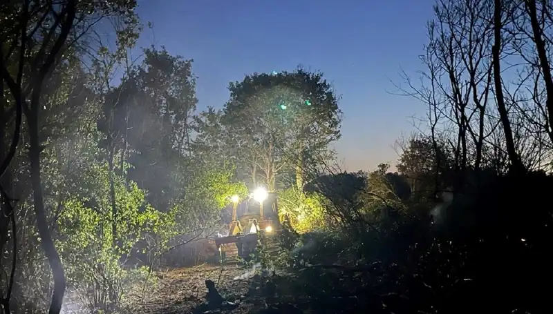 Edirne'deki Korkutan Orman Yangını Güvenlik Ekipleri Tarafından Kontrol Altına Alındı