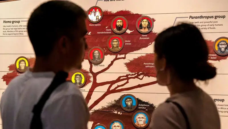 Modern İnsanların 40 Bin Yıl Önceki Hayatta Kalma Sırları Keşfedildi