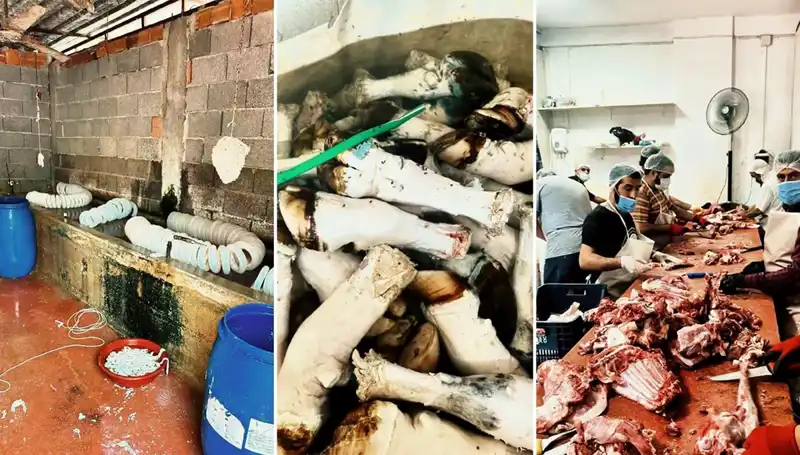 Adana'da Şok Edici Mide Bulandırıcı Görüntüler: Yüzlerce Kilo Paça Ele Geçirildi!