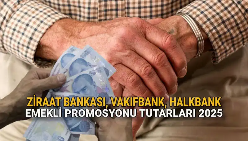 2025 Emekli Maaşı Promosyonları: Kamu Bankalarının Rekabeti Zirveye Çıkıyor