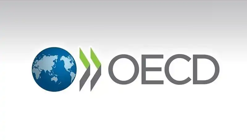 OECD, Türkiye'nin Ekonomik Büyüme Tahmininde Çarpıcı Değişiklikler Yaptı