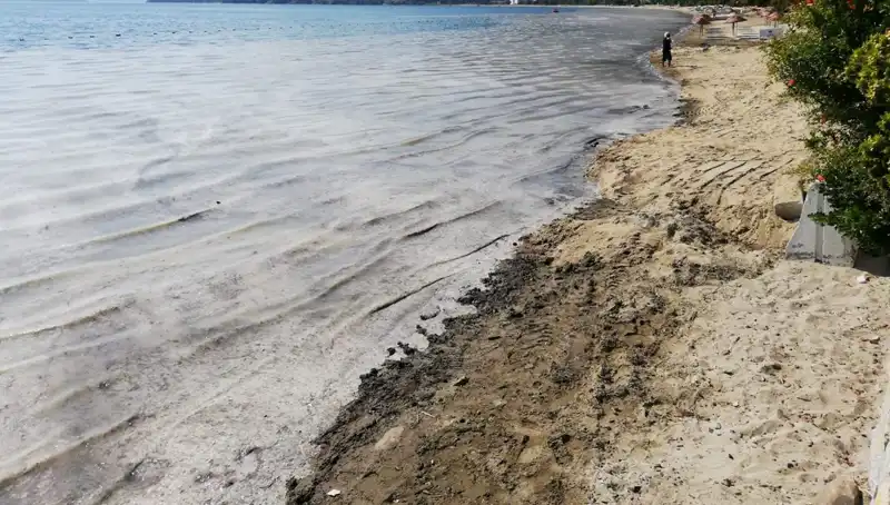 İstanbul'da Müsilajla Mücadele: 268 İşyeri Kapatıldı, Denetimler Artırıldı