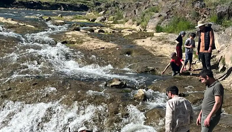 İnci Kefalinin Göçü: Doğa Harikası ve Turistlerin Büyüleyici Seyahati