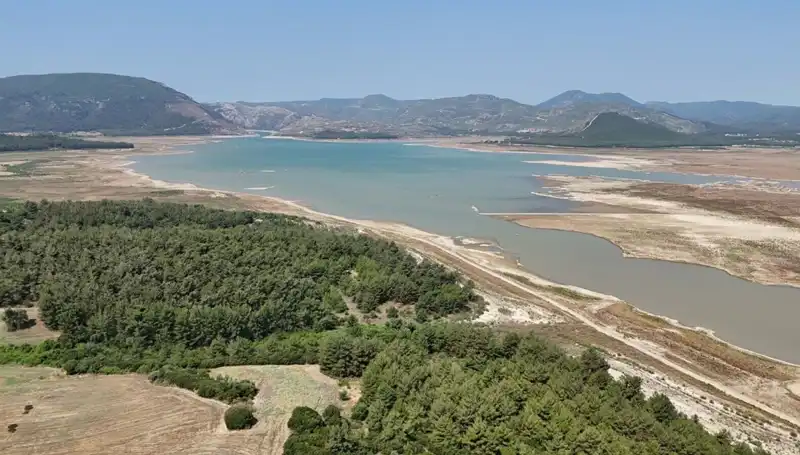 İzmir'de Tehlike Çanları: 2023'te Yüzde 50 Düşüş Yaşandı!