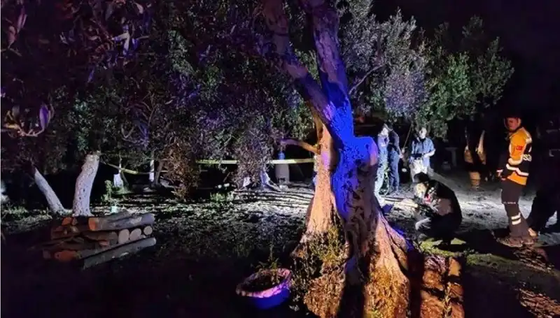 Çiftlikteki Baltalı Vahşet: Bir Tutuklama ve Sırlarla Dolu Olay