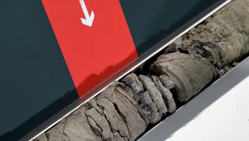 Müze Otoparkında Tarihi Buluntu: Dinozor Fosilleri Ortaya Çıktı