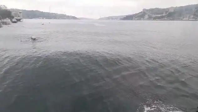 İstanbul Boğazı'nda Dalgalar Yükseliyor: Fırtına ve Kirlilik Tehditleri